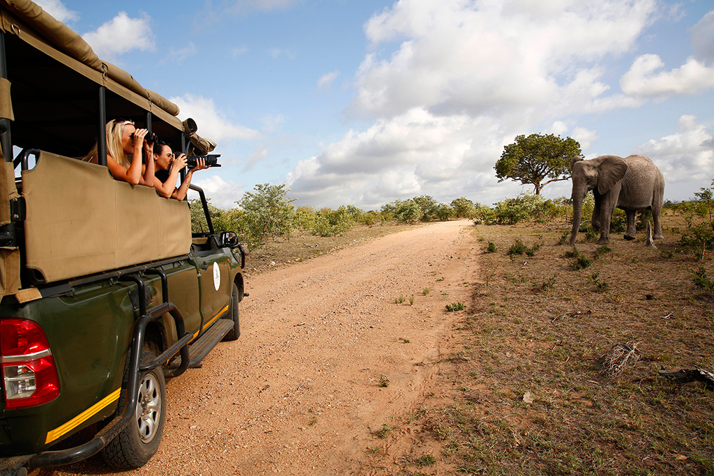 Guided game drive